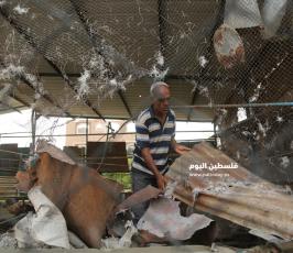 أضرار في مزرعة للبقر إثر القصف الصهيونى (14).JPG