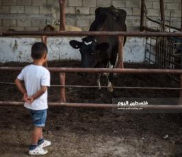 عيد الاضحى ‫(173447270)‬ ‫‬.jpg