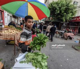 دير البلح  ‫(223303646)‬ ‫‬.jpg