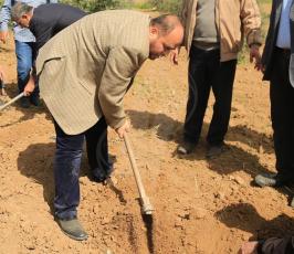 صور زراعة اشتال الزيتون على الحدود  ‫(38273543)‬ ‫‬.JPG