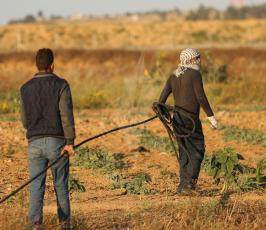 السياج الفاصل شرق خانيونس ‫(42467858)‬ ‫‬.JPG