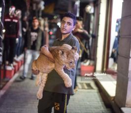 اسد1 ‫(2)‬ ‫‬.jpg