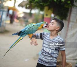 حديقة حيوان ‫(360031259)‬ ‫‬.JPG