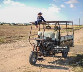 جنى العدس ‫(1)‬.jpg