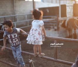 عيد الاضحى ‫(173447271)‬ ‫‬.jpg