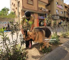 هندسة المتفجرات سرايا القدس ‫(1)‬.JPG