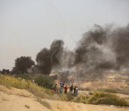  قطاع غزةزيكيم (1).JPG