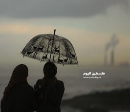 منخفض  (1).JPG