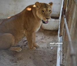 اشبال رفح ‫(302713014)‬ ‫‬.JPG