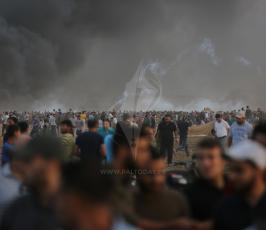  خطاب النخالة قرب الحدود شرق قطاع غزة  ‫(43123281)‬ ‫‬.JPG