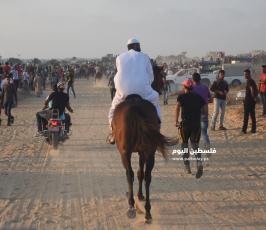 سباق خيول ‫(302715054)‬ ‫‬.JPG