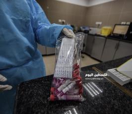 مختبر كورونا (11).jpg