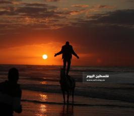 عام 2019 (17).jpg