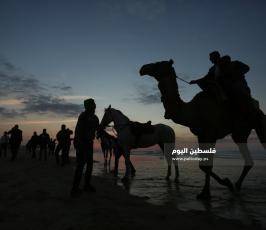 عام 2019 (11).jpg