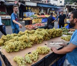 عنب ‫(174473799)‬ ‫‬.jpg