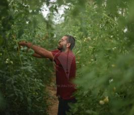 المحررات  بعد 13 عام من الإنسحاب (8).jpeg