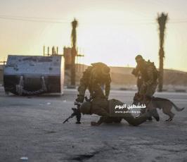 الركن الشديد (17).jpg