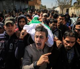 الشهيد أحمد أبوحلو ‫(43450890)‬ ‫‬.JPG