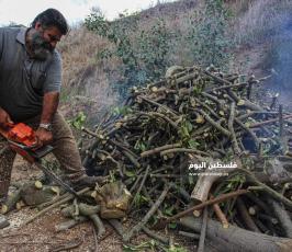 بيع الحطب مع اقترب فصل الشتاء (2).jpg