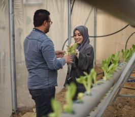 الأخوان أبو دقة مهندسان يُنبتان الخس بـالزراعة المائية ‫(43713030)‬ ‫‬.jpeg
