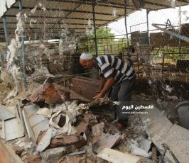 أضرار في مزرعة للبقر إثر القصف الصهيونى (9).JPG