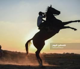 سباق خيول ‫(302715053)‬ ‫‬.jpg