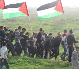 سواعد الانتفاضة ‫(42402321)‬ ‫‬.jpeg