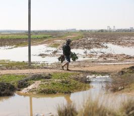 فتح سدود مياه الأمطار على أراضي المواطنين شرق حي الشجاعية (4).JPG