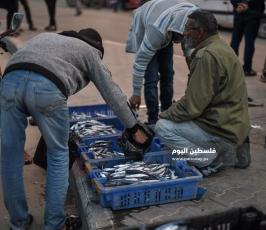 عصافير ‫(290538839)‬ ‫‬.jpg