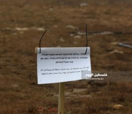 محاصيل زراعية (1).jpeg