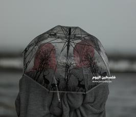 منخفض  (3).JPG
