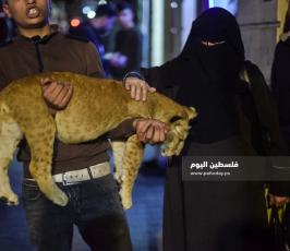 اسد1 ‫(322583034)‬ ‫‬.jpg