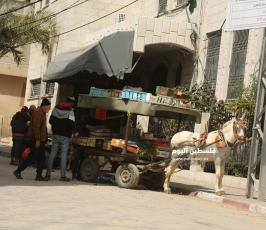 عربات الخضار للشوارع (13).JPG