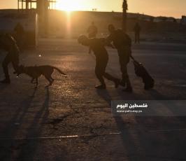 الركن الشديد (18).jpg