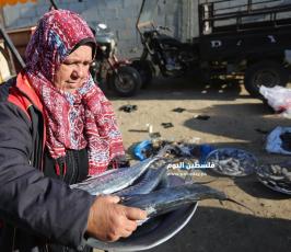 غزة امرأة فلسطينية تجاهد معاناة الحياة ببيع الأسماك في الأسواق (7).jpg