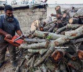 بيع الحطب مع اقترب فصل الشتاء (1).jpg
