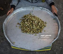 رمضان خانيونس  ‫(331631022)‬ ‫‬.jpg