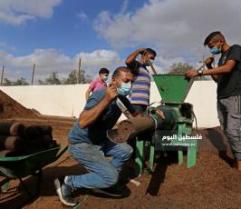 جفت الزيتون (6).jpeg