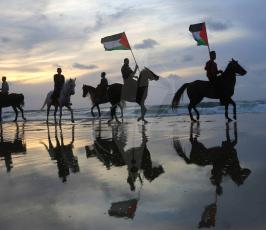 عرض للخيول على شاطئ بحر غزة ‫(43319811)‬ ‫‬.jpg