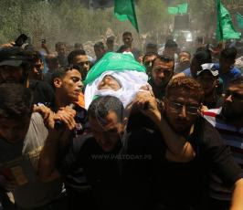 الشهيد يوسف الغندور ‫(1)‬.JPG
