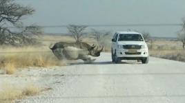 هذا هو غضب الطبيعة "مشاهد لاتصدق"..!!