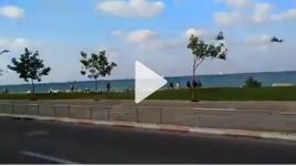 لحظة وصول طائرة اسرائيلية تنقل جنود مصابين من افيفيم شمال فلسطين المحتلة