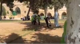 معسكر شبابي لتنظيف وترميم الأقصى وحدائقه ومقبرة باب الرحمة قبيل حلول شهر رمضان