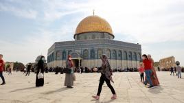 جولة في أرجاء وباحات القدس المحتلة