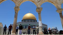 من الشام الجريحة لفلسطين الحبيبة تحية وسلام