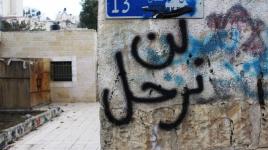 الشيخ جراح بالقدس صراع مستمر ضد الاحتلال
