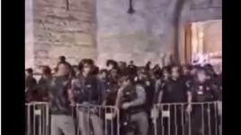 صرخات من داخل المسجد الأقصى "خنقونا"
