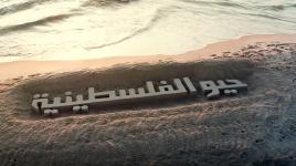 حيو الفلسطينية - أمير دندن