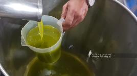 مراحل عصر الزيتون في معاصر قطاع غزة