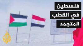 شاهد | شاب مصري يرفع علم فلسطين في القطب المتجمد